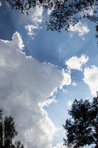 Obraz blue sky with clouds
