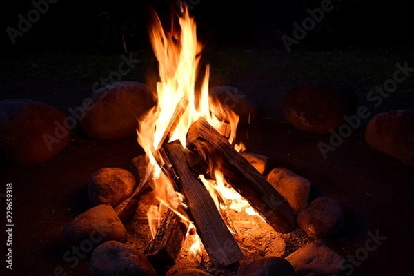 Obraz 焚き火のぬくもり