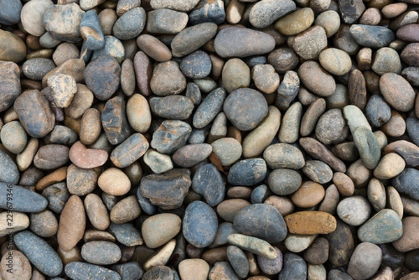 Fototapeta River rocks texture background,top view