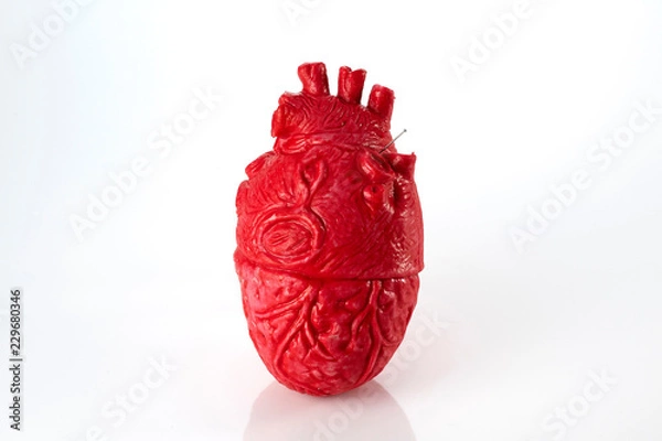 Obraz 心臓