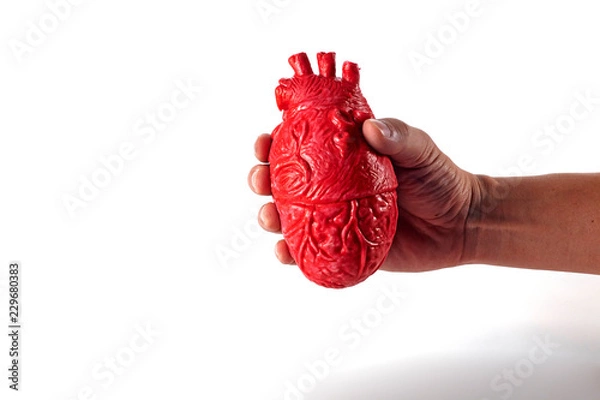 Obraz 心臓