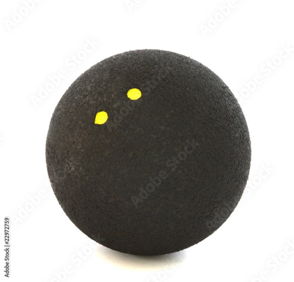 Obraz Squash ball