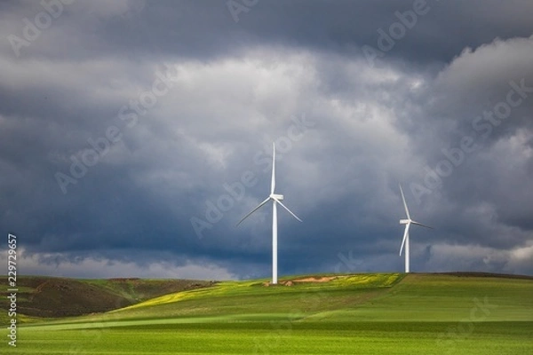 Fototapeta Dramatic thunderstorm over wind turbines in green fields - Caledon, Western Cape, South Africa.