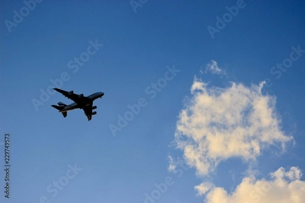 Obraz airplane in the sky