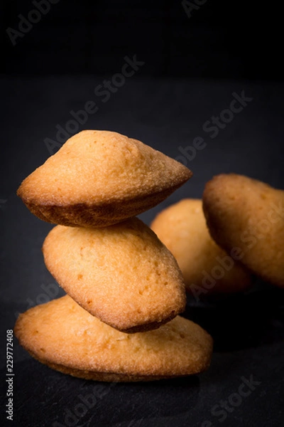 Obraz Madeleines