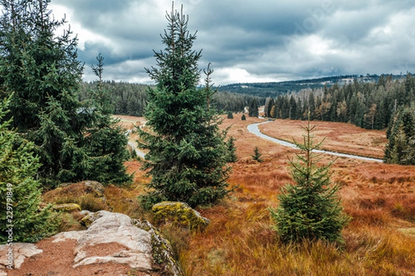 Obraz Šumava viewpoint