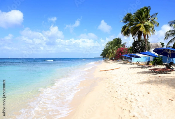 Fototapeta Barbados - Karibik