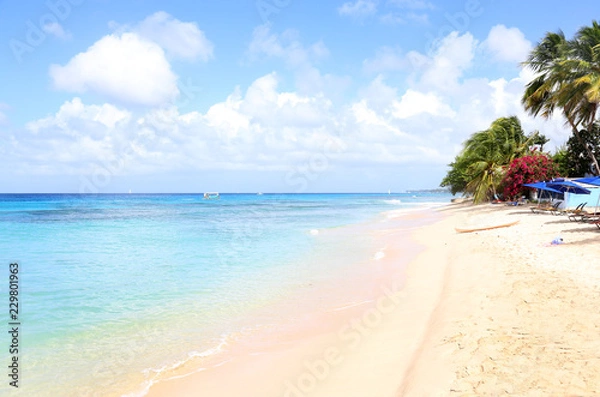Fototapeta Barbados - Karibik
