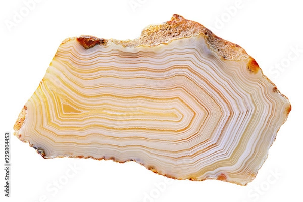 Fototapeta Amazing Banded Agate Crystal cross section cut isolated on white background. Natural light translucent agate crystal surface. Yellow orange abstract expressive structure slice mineral stone macro clos