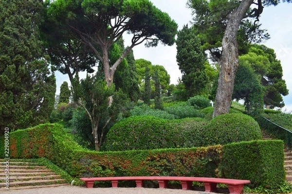 Fototapeta Bench in a beautiful landscaped Park with green grass and slender trees.