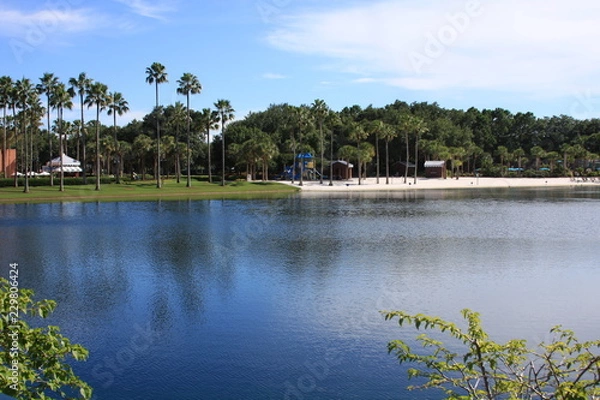 Fototapeta lake in park