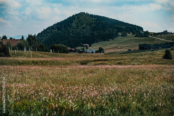 Fototapeta hill in mountains