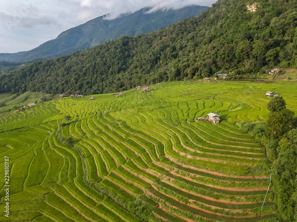 Fototapeta Aerial top view photo from flying drone of the Buddhist temple and fields in the countryside of Chiang Mai Northern Thailand