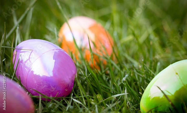 Obraz Multi-colored plastic Easter eggs in grass