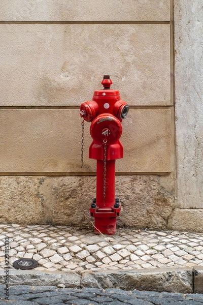 Fototapeta red fire hydrant