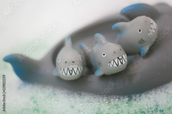 Obraz Baby Shark Bath Time