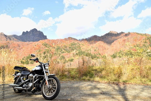 Obraz 紅葉時期のバイクツーリング
