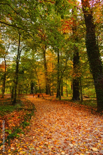 Fototapeta View of a footpath covered with colorful autum leaves in the forested part of the famous Maksimir park in Zagreb, Croatia. Beautiful autumn scenery