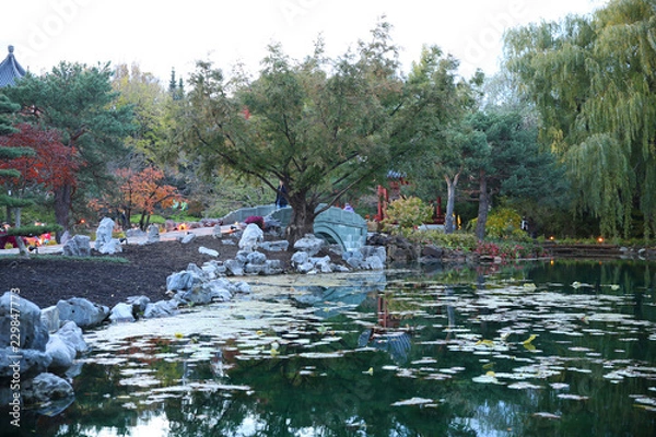 Fototapeta pond with trees and pond