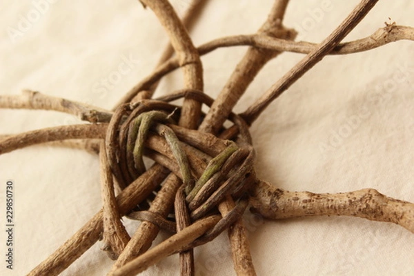 Obraz 木のツルでかご作り