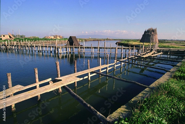 Obraz sardegna: cabras
