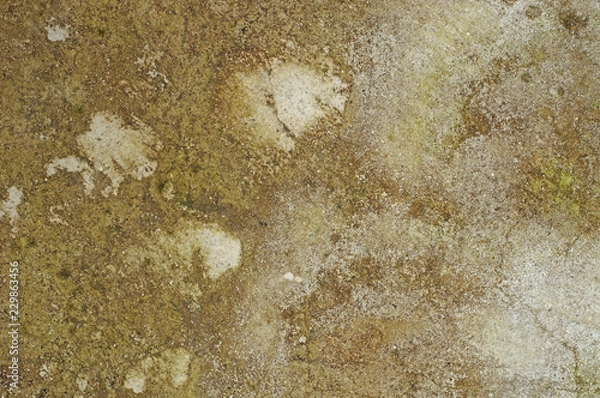 Fototapeta Dirty Stucco for Background or Texture 