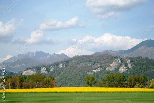 Obraz Paesaggio montano