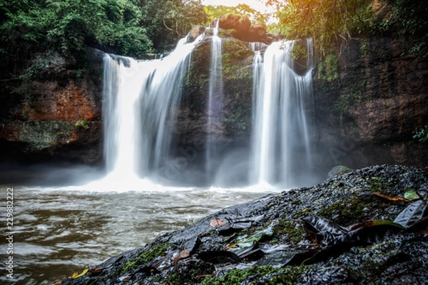 Fototapeta waterfall in forest