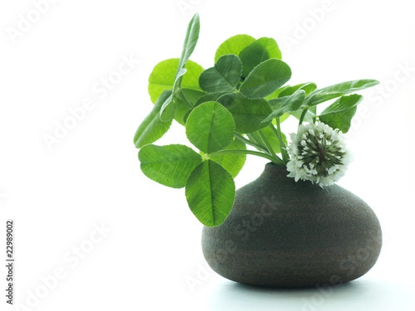 Fototapeta 野草を活ける