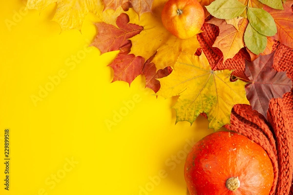 Fototapeta autumn background of free space and autumn time