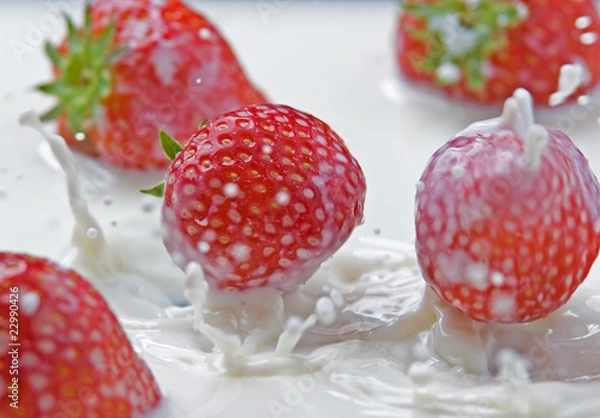 Obraz Erdbeeren platschen in Milch