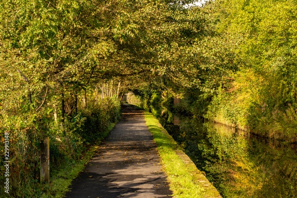 Obraz path down the canal
