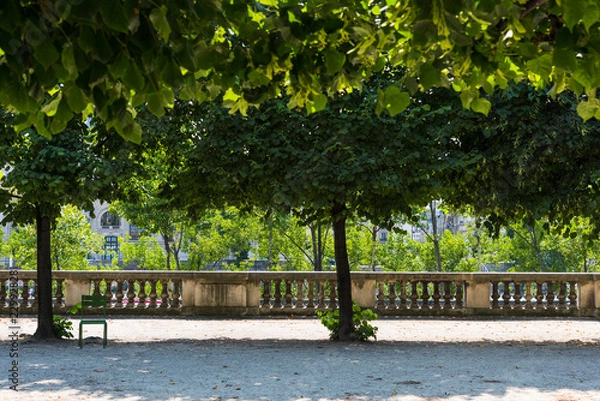 Obraz Zielone drzewa w jardin de Tuileries w Paryżu