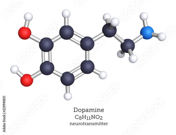 Fototapeta Dopamine neurotransmitter depicted as a molecular model