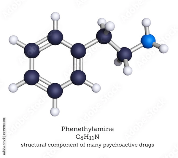 Fototapeta Phenethylamine shown as a ball-and-stick molecular model