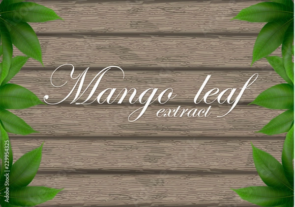 Fototapeta Mango leaves background for banner, celebration, holiday, packaging, poster.  Mango leaves on wood background. Realistic 3d leaf vector