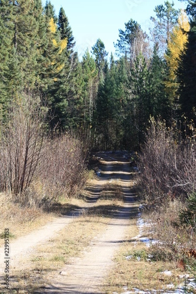 Obraz Portage, caution, Minnesota, rapids, Fall, trees, autum, trail