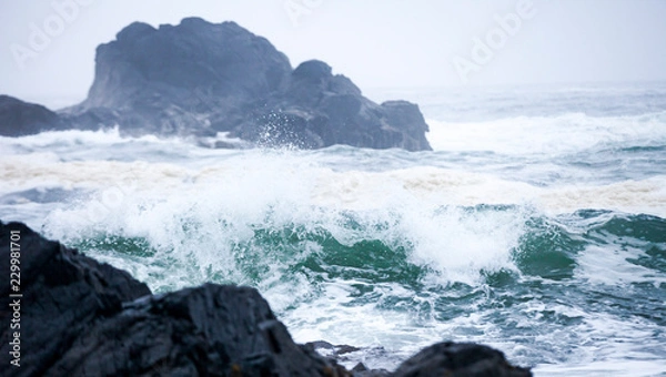 Obraz Coastal tides Pacific