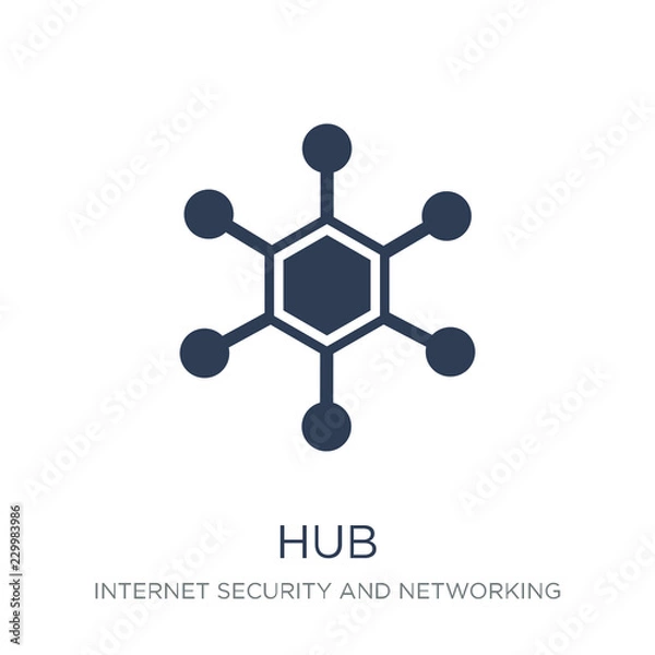 Fototapeta Ikona piasty. Modny płaski wektor Hub ikona na białym tle z kolekcji Internet Security and Networking
