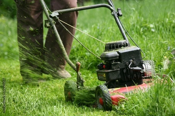 Obraz Mowing