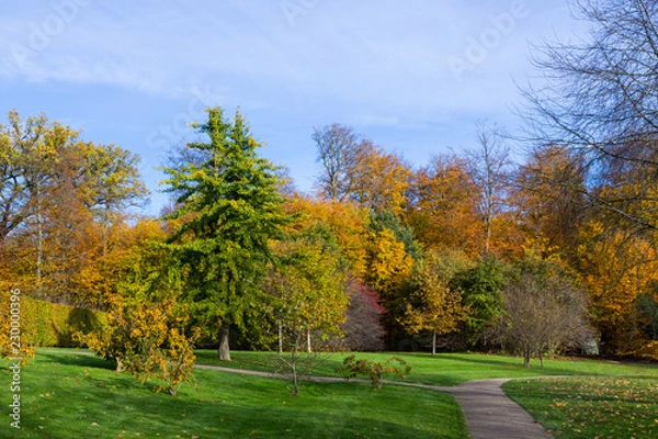 Fototapeta autumn in a park north of Copenhagen