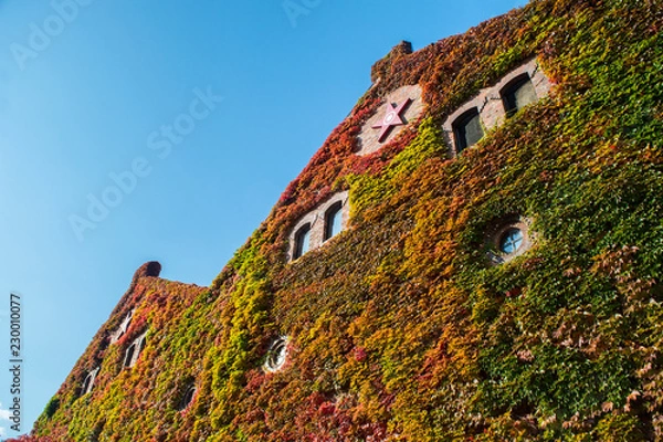 Obraz 札幌ビール園