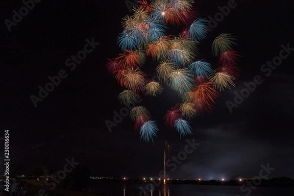 Obraz パステル千輪菊二度咲