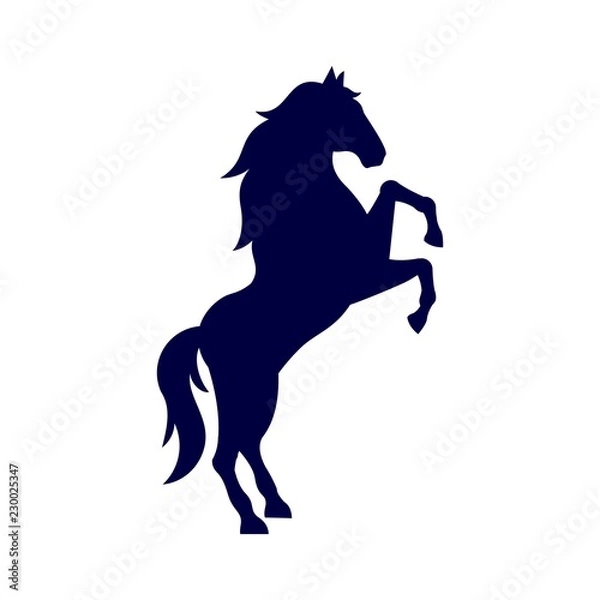 Obraz Horse Icon, Vector, Silhouette