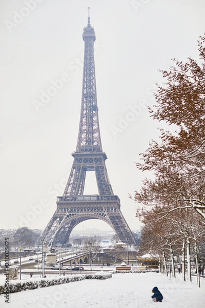 Fototapeta Scenic view to the Eiffel tower on a day with heavy snow