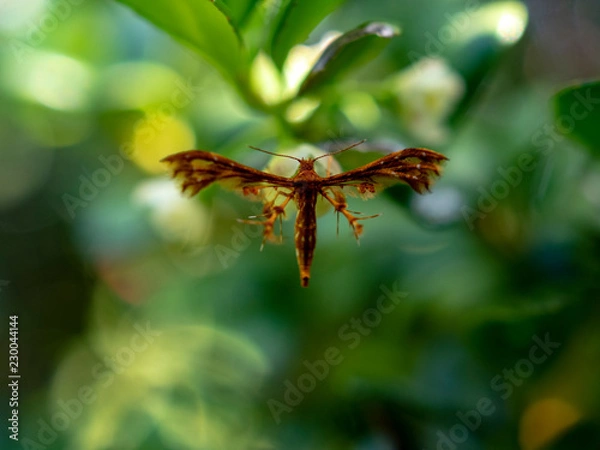 Fototapeta OLYMPUS DIGITAL CAMERA