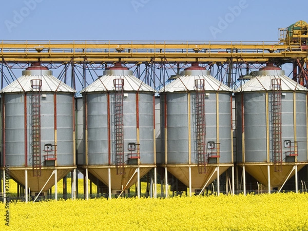 Obraz Silos