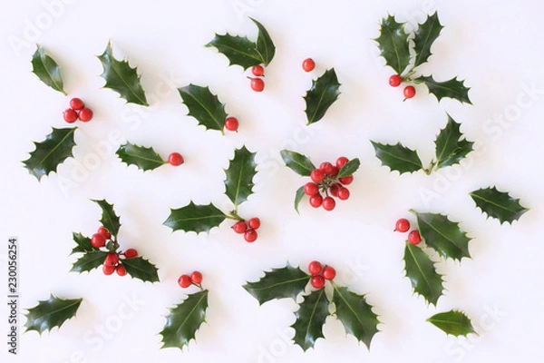 Obraz Christmas holly with red berries. Traditional festive decoration. Holly branch with red berries on white table background. Flat lay, top view.