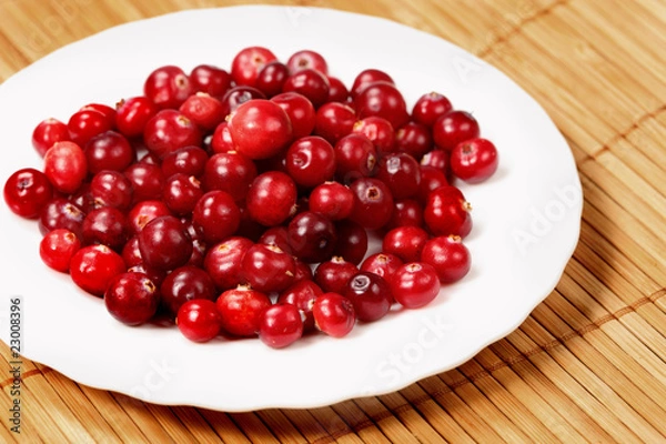 Obraz Sweet  cranberries