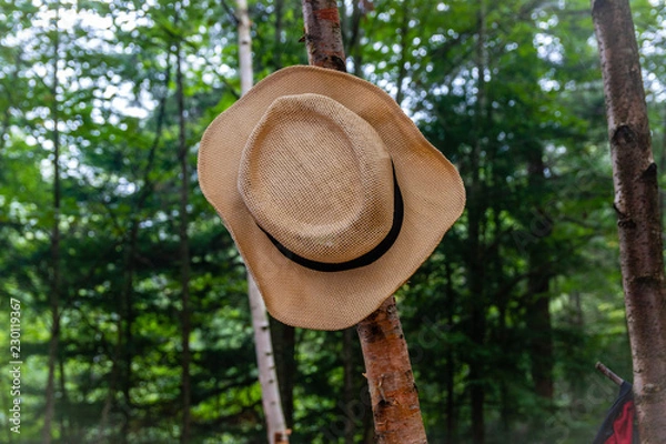 Obraz A straw hat hanging on a tree in the Adirondack backcountry. 